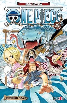 ONE PIECE 29