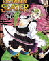 DEMON SLAYER - KIMETSU NO YAIBA 14