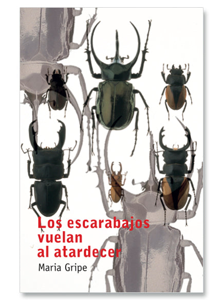 LOS ESCARABAJOS VUELAN AL ATARDECER