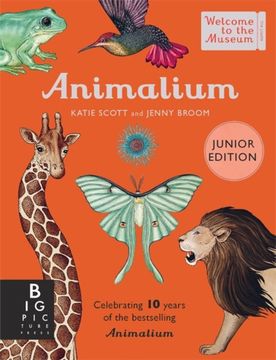 ANIMALIUM EDICION JUNIOR