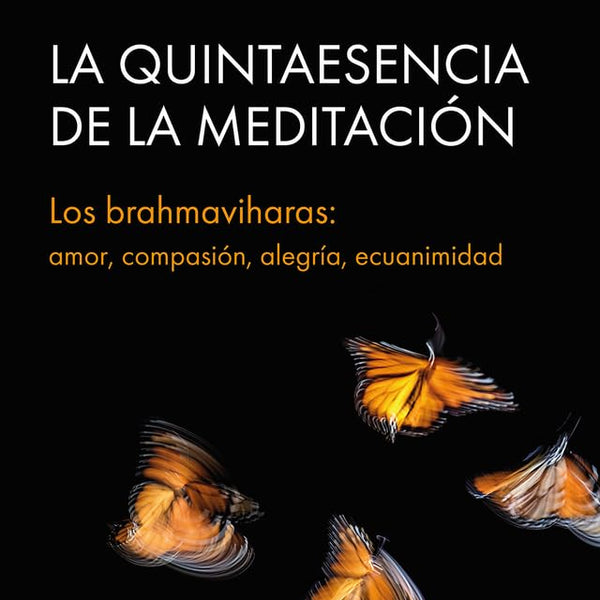 LA QUINTAESENCIA DE LA MEDITACION