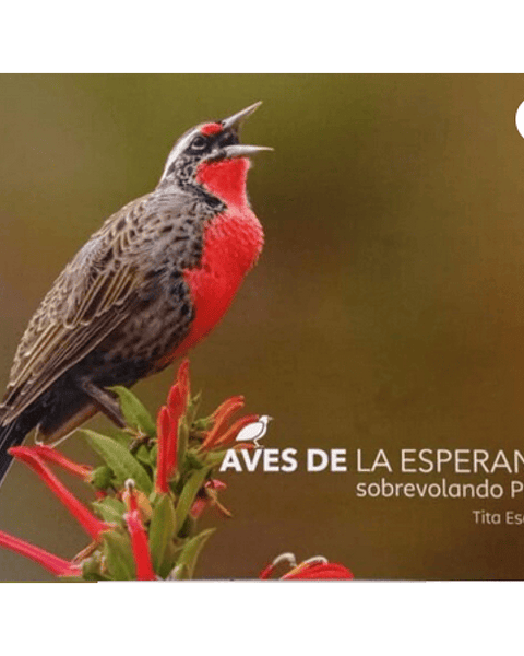 AVES DE ESPERANZA