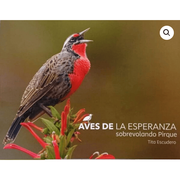 AVES DE ESPERANZA
