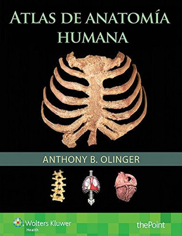 ATLAS DE ANATOMIA HUMANA