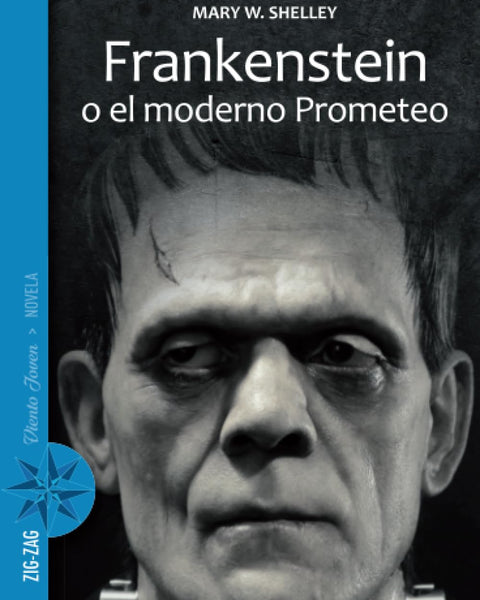 FRANKENSTEIN O EL MODERNO PROMETEO