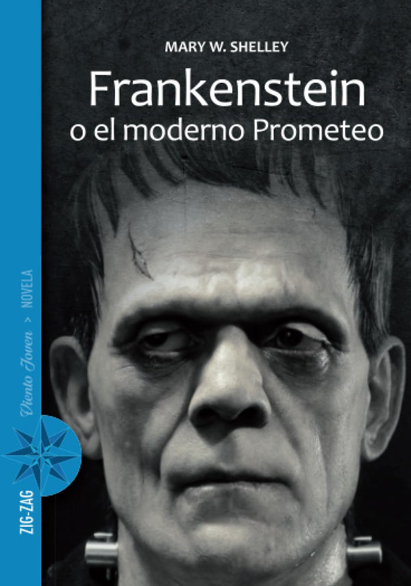 FRANKENSTEIN O EL MODERNO PROMETEO