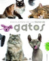 ENCICLOPEDIA DE LAS RAZAS DE GATOS