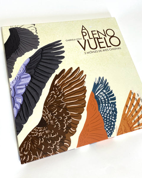 A PLENO VUELO: 5 MOVILES DE AVES CHILENAS