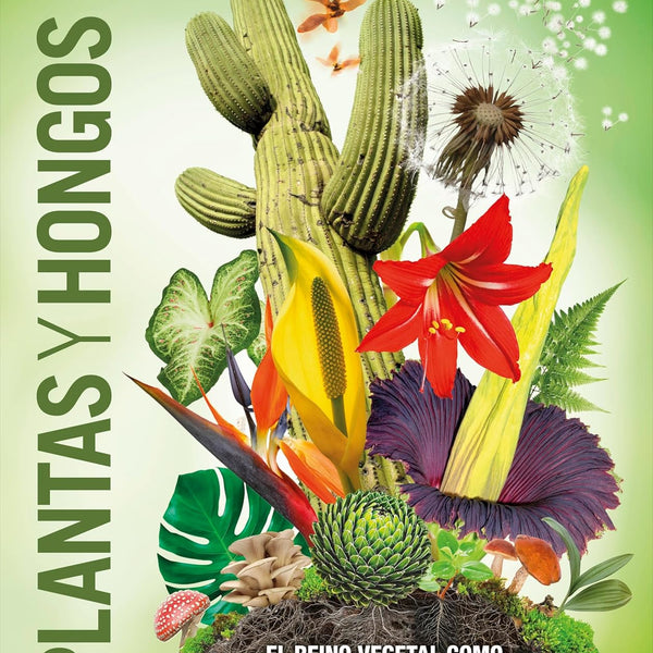 PLANTAS Y HONGOS