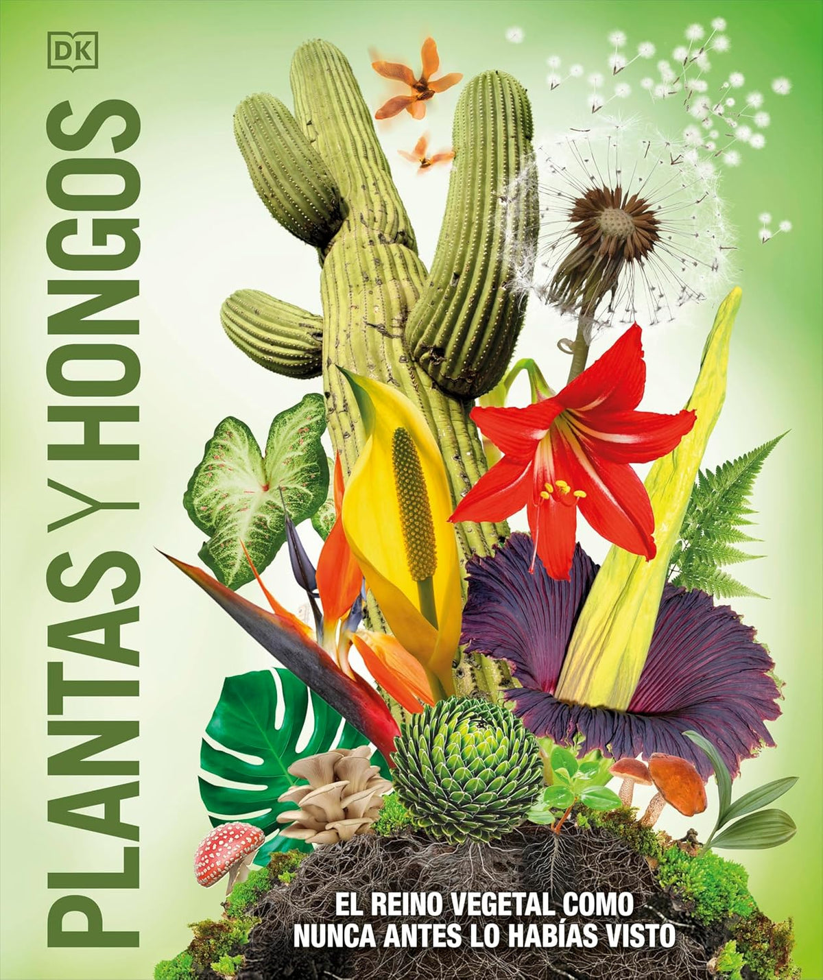 PLANTAS Y HONGOS