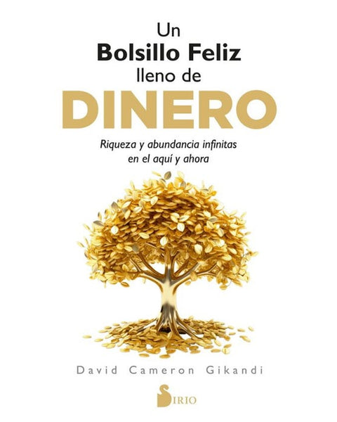 UN BOLSILLO FELIZ LLENO DE DINERO