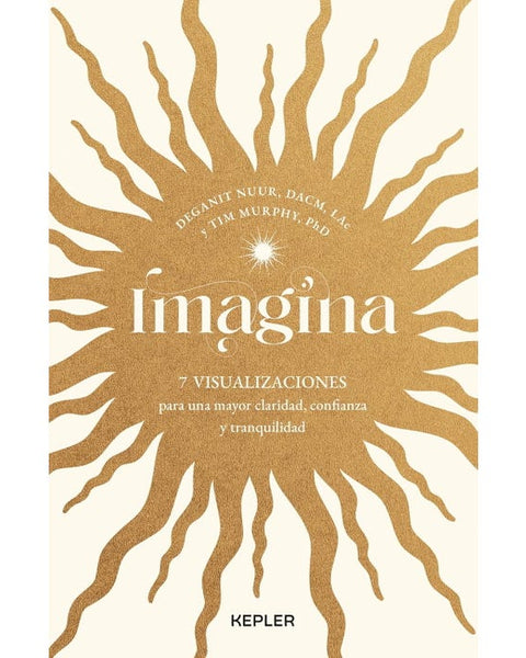 IMAGINA