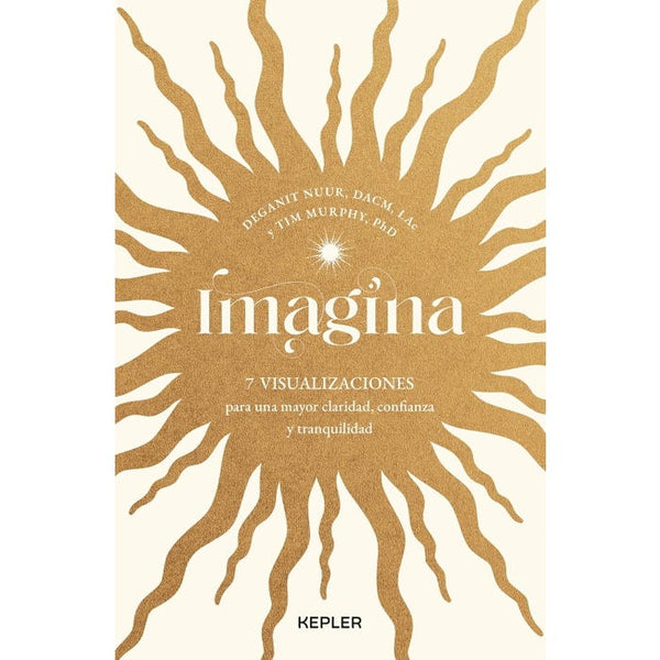 IMAGINA
