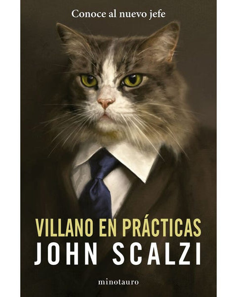 VILLANO EN PRACTICAS