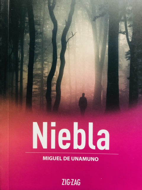 NIEBLA