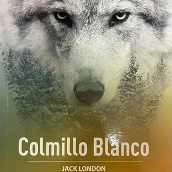 COLMILLO BLANCO (ZIGZAG)