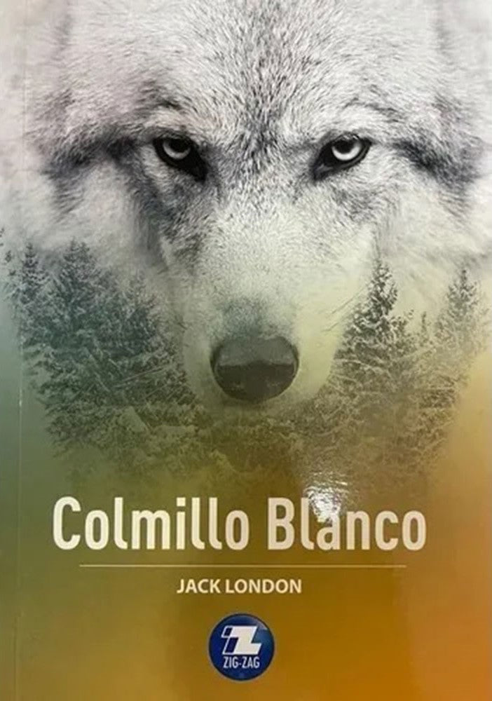COLMILLO BLANCO (ZIGZAG)