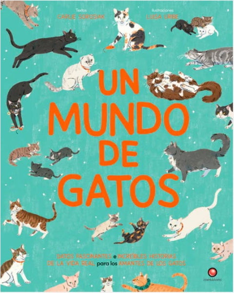 Un mundo de gatos
