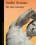 MI AÑO ROMANO