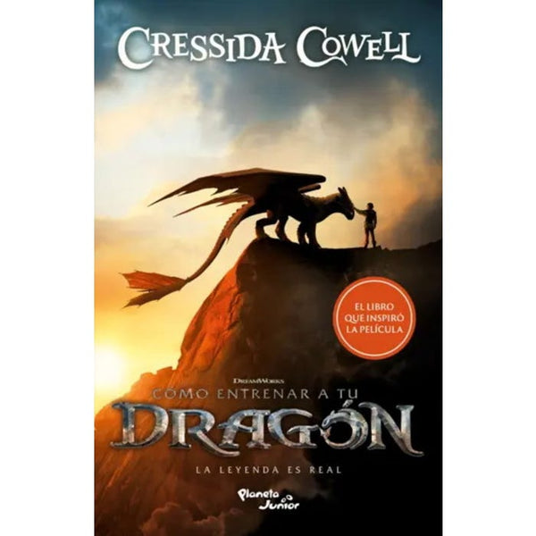COMO ENTRENAR A TU DRAGON