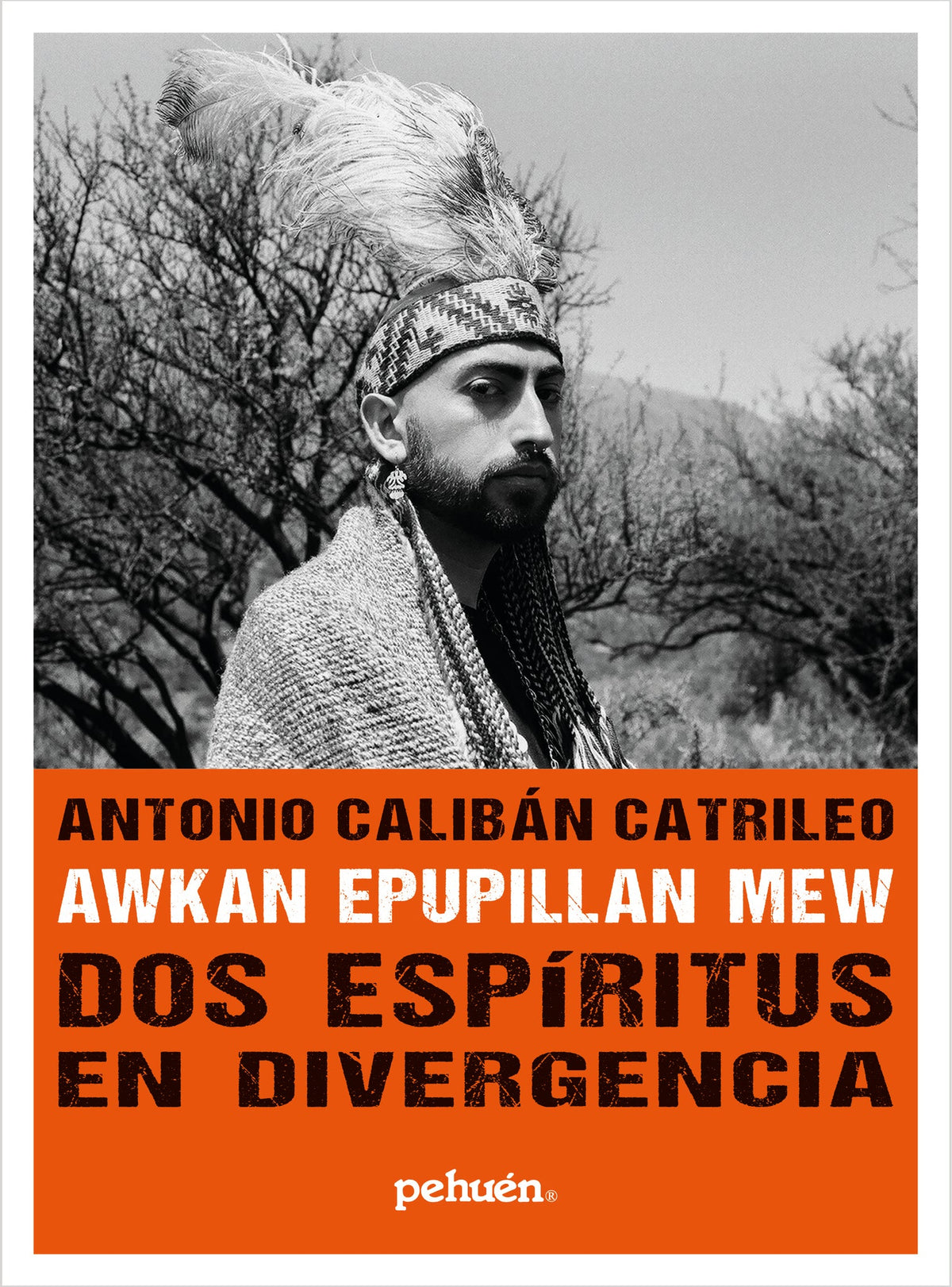 AWKAN EPUPILLAN MEW: DOS ESPIRITUS EN DIVERGENCIA