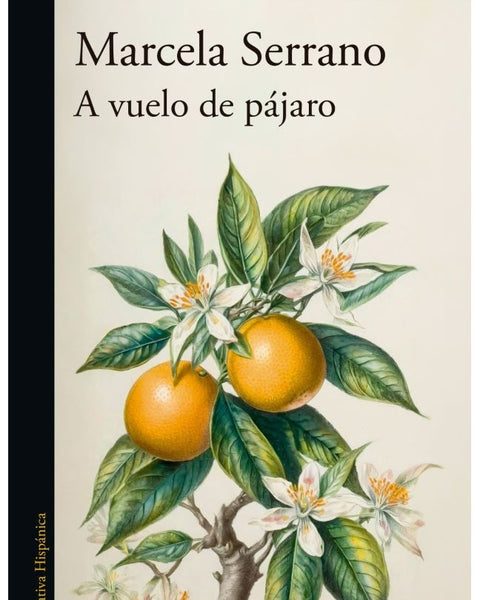 A VUELO DE PÁJARO