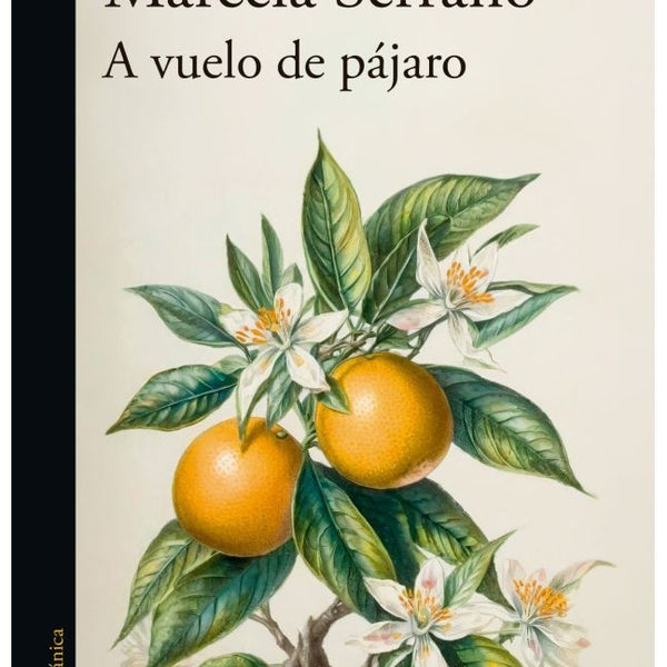 A VUELO DE PÁJARO