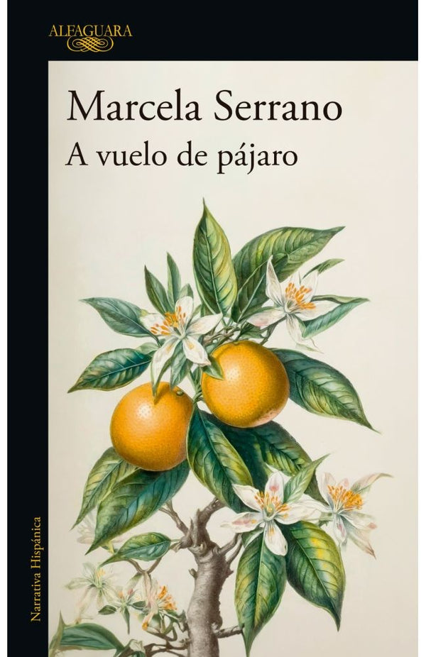 A VUELO DE PÁJARO