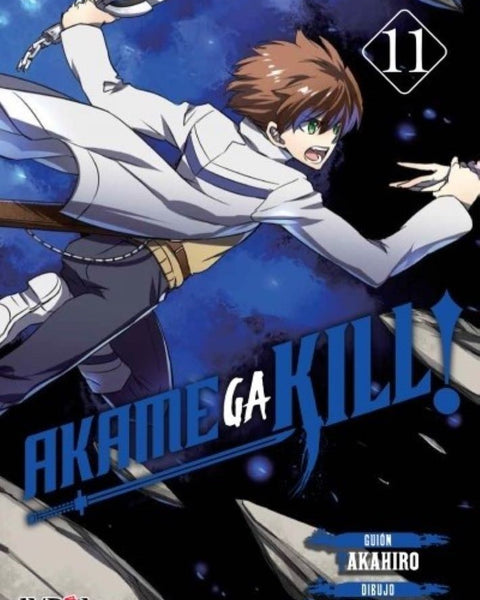 AKAME GA KILL 11