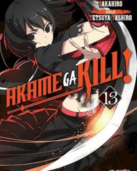 AKAME GA KILL 13
