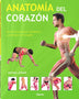 ANATOMIA DEL CORAZON