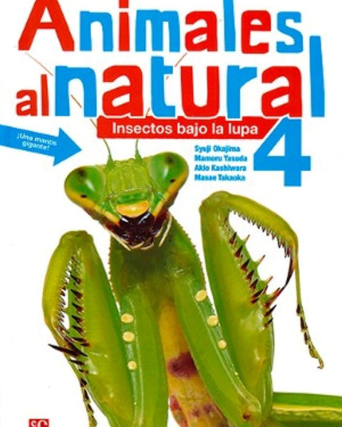 ANIMALES AL NATURAL 4. INSECTOS BAJO LA LUPA