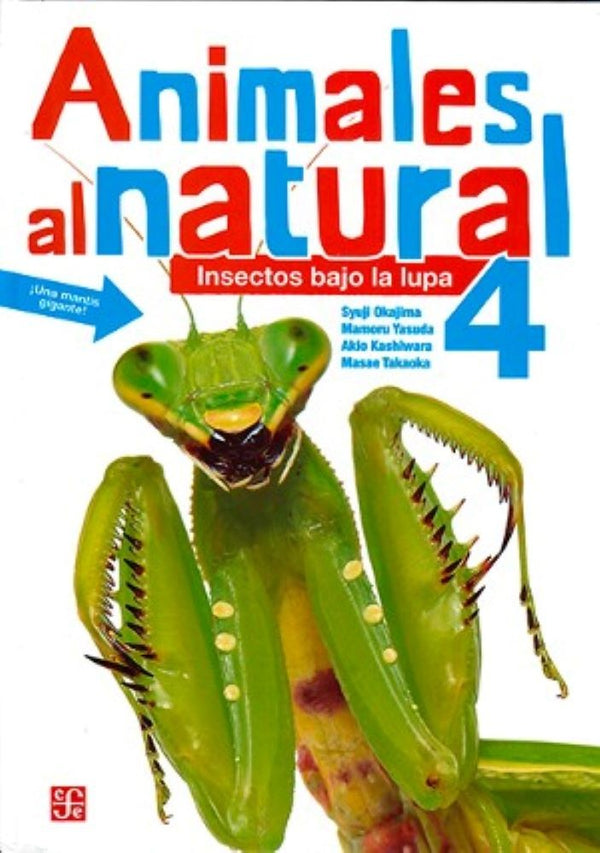 ANIMALES AL NATURAL 4. INSECTOS BAJO LA LUPA