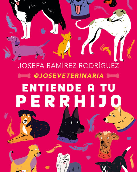 APRENDE A RELACIONARTE CON TU PERRHIJO