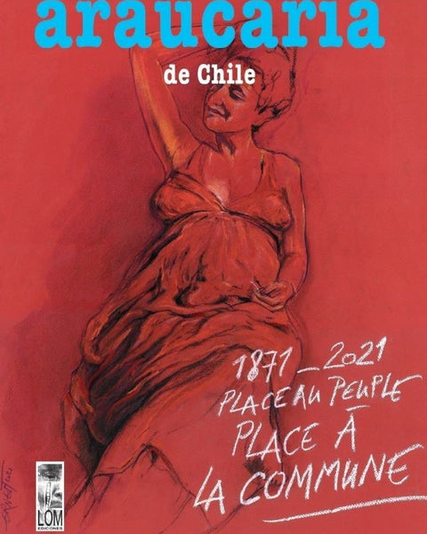 ARAUCARIA DE CHILE N°50