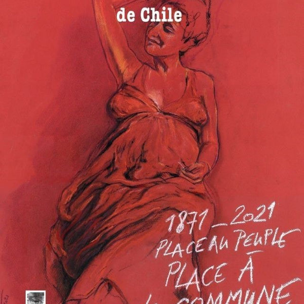 ARAUCARIA DE CHILE N°50