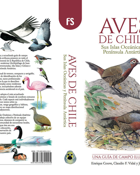 AVES DE CHILE UNA GUIA DE CAMPO ILUSTRADA