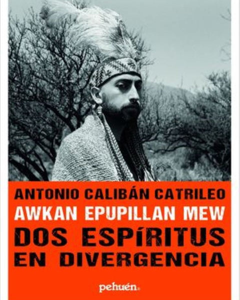 AWKAN EPUPILLAN MEW: DOS ESPIRITUS EN DIVERGENCIA