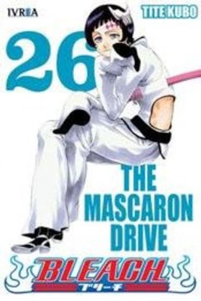 BLEACH 26