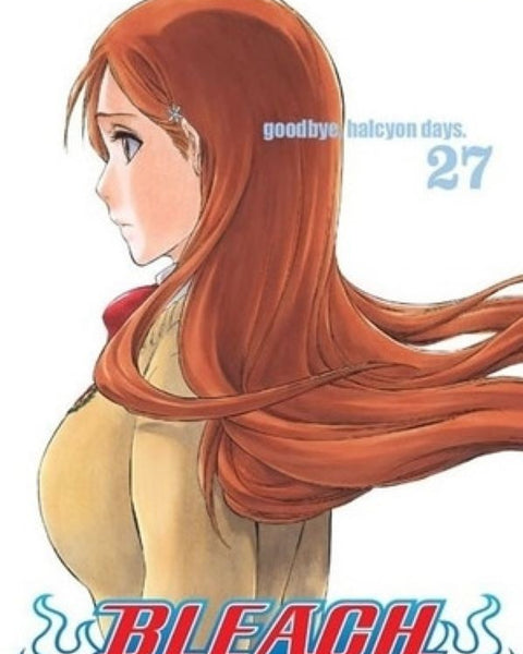 BLEACH 27