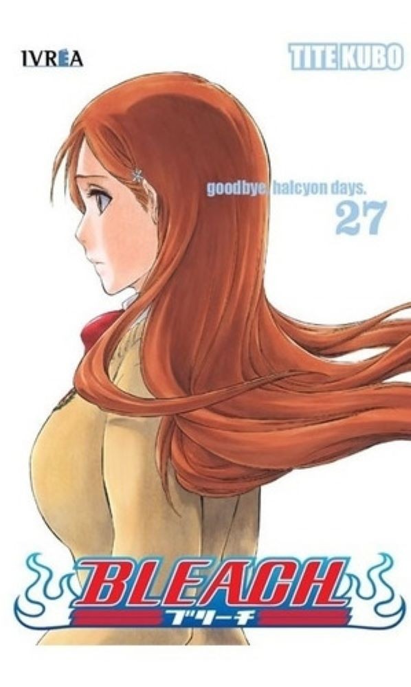 BLEACH 27