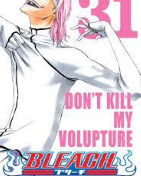 BLEACH 31