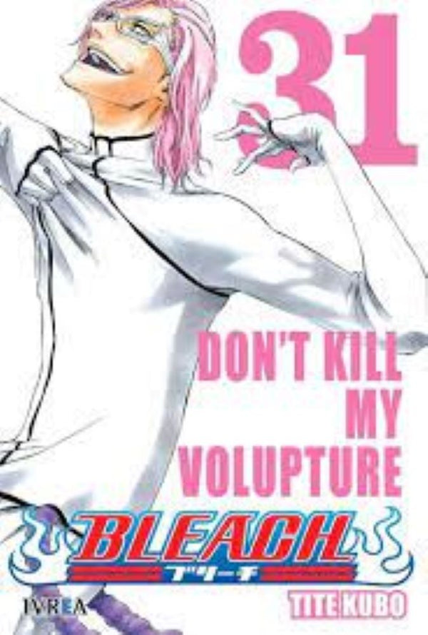 BLEACH 31