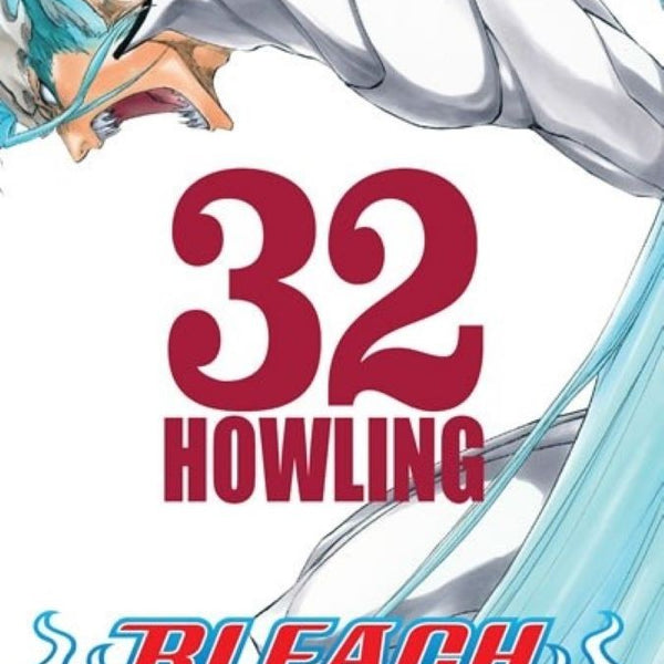 BLEACH 32