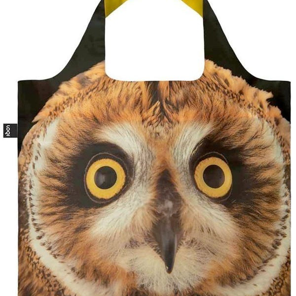 BOLSAS - SHORT-EARED OWL