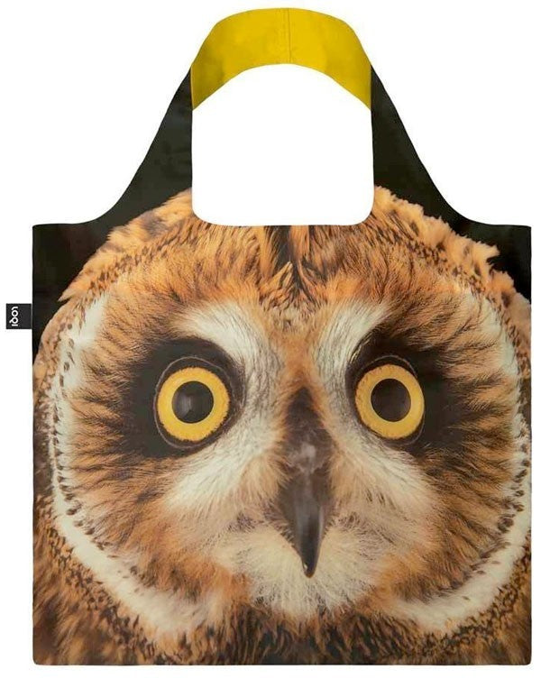 BOLSAS - SHORT-EARED OWL