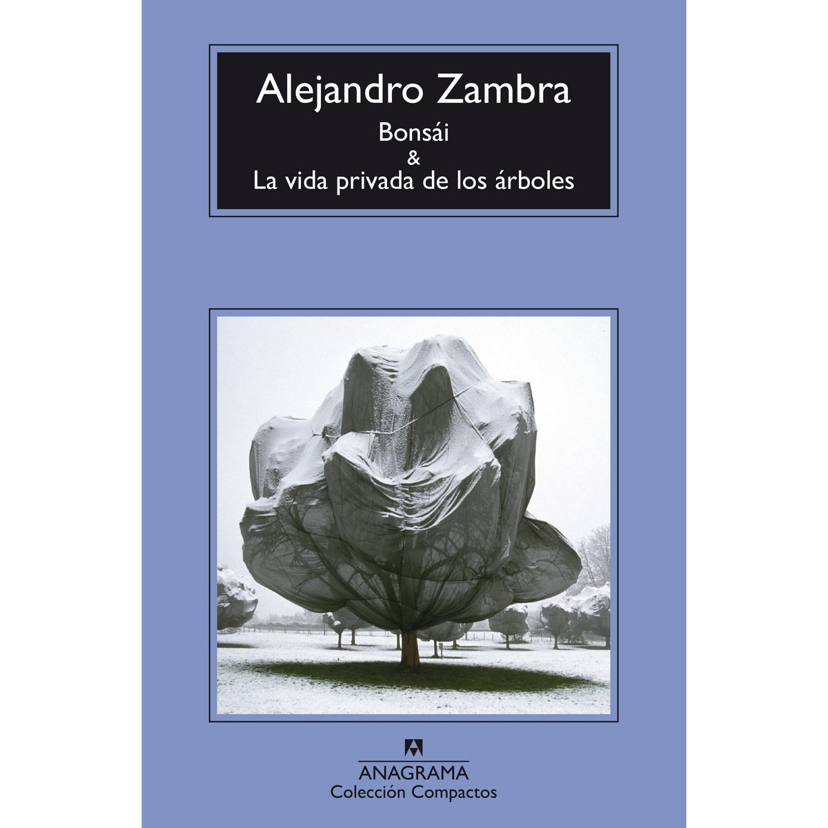 BONSAI VIDA PRIVADA DE LOS ARBOLES