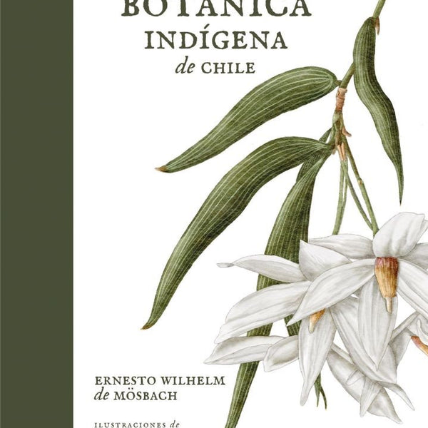 BOTANICA INDIGENA DE CHILE