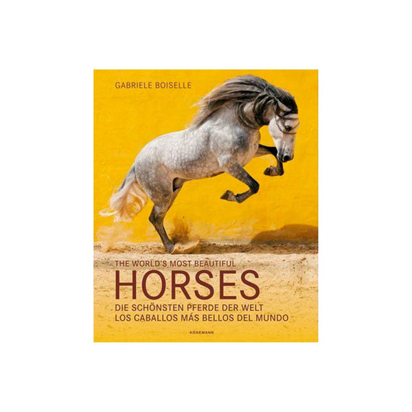 CABALLOS MAS BELLOS DEL MUNDO