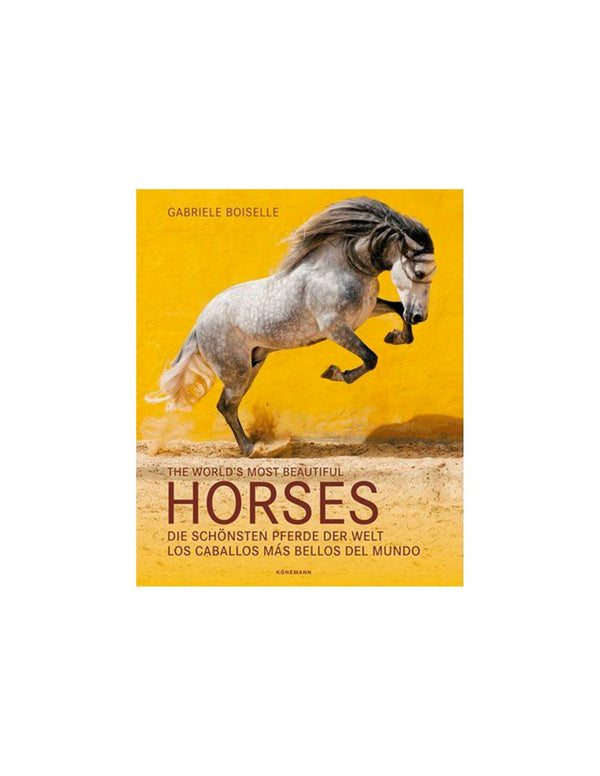 CABALLOS MAS BELLOS DEL MUNDO